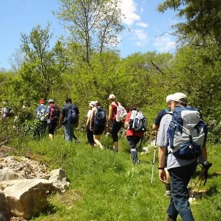 In And Quite Area, Close To * Šilo