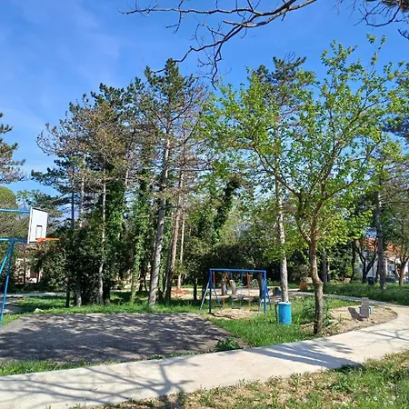 In And Quite Area, Close To Šilo