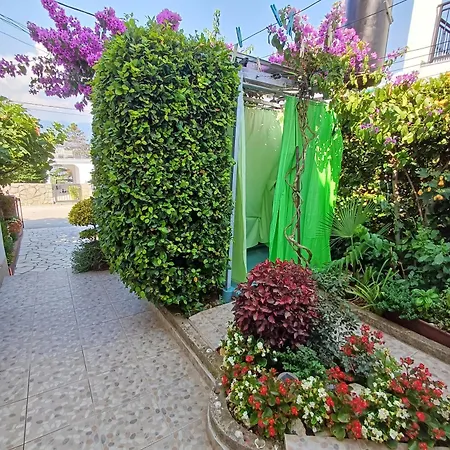 In And Quite Area, Close To Apartamento *